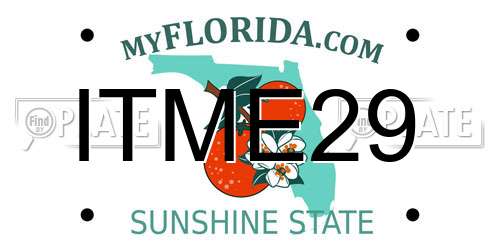 ITME29 Florida License Plate