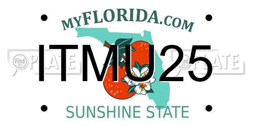 ITMU25 Florida License Plate