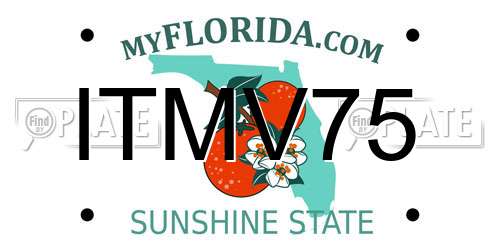 ITMV75 Florida License Plate