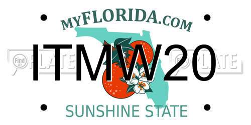 ITMW20 Florida License Plate