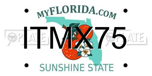 ITMX75 Florida License Plate