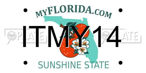 ITMY14 Florida License Plate