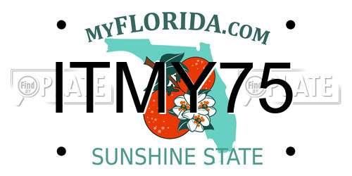 ITMY75 Florida License Plate