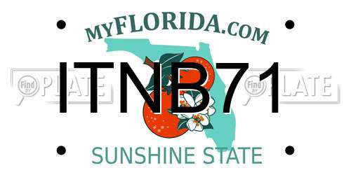 ITNB71 Florida License Plate