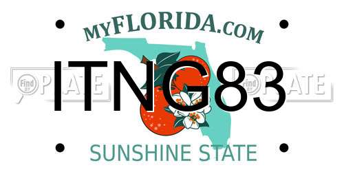 ITNG83 Florida License Plate