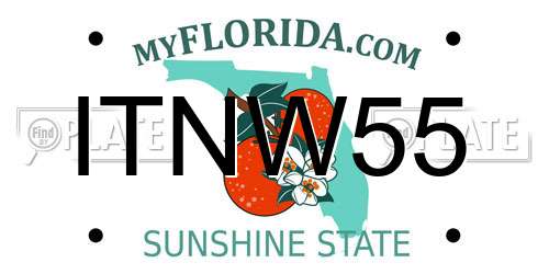 ITNW55 Florida License Plate