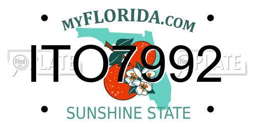 ITO7992 Florida License Plate