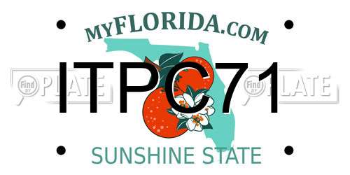 ITPC71 Florida License Plate