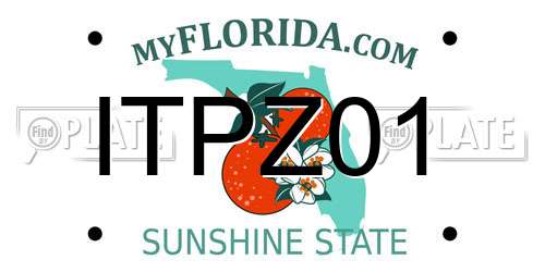 ITPZ01 Florida License Plate