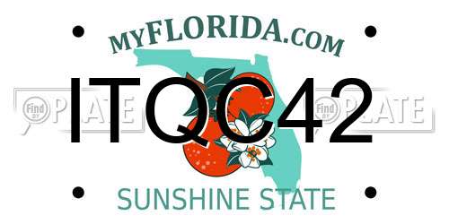 ITQC42 Florida License Plate