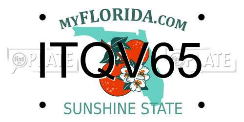 ITQV65 Florida License Plate