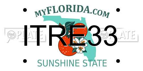 ITRE33 Florida License Plate