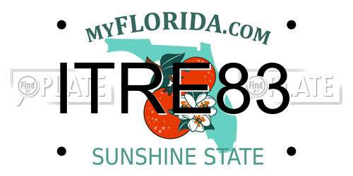 ITRE83 Florida License Plate