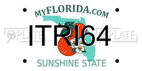 ITRI64 Florida License Plate
