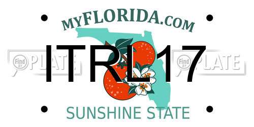 ITRL17 Florida License Plate