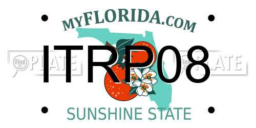 ITRP08 Florida License Plate
