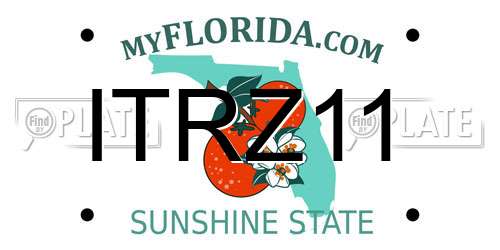 ITRZ11 Florida License Plate