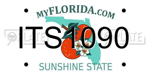 ITS1090 Florida License Plate