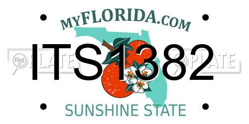 ITS1382 Florida License Plate