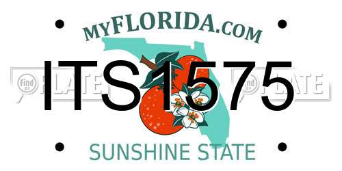 ITS1575 Florida License Plate