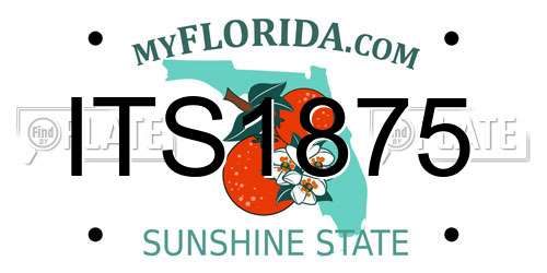 ITS1875 Florida License Plate