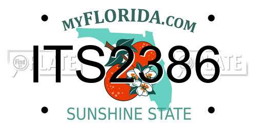 ITS2386 Florida License Plate