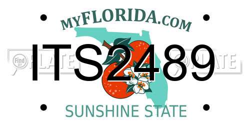 ITS2489 Florida License Plate
