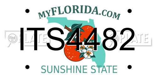 ITS4482 Florida License Plate