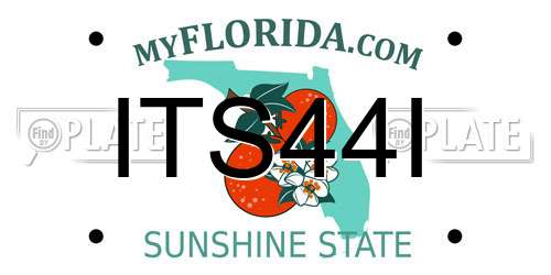 ITS44I Florida License Plate