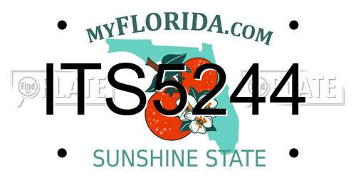 ITS5244 Florida License Plate