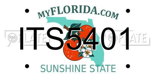 ITS5401 Florida License Plate