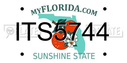 ITS5744 Florida License Plate