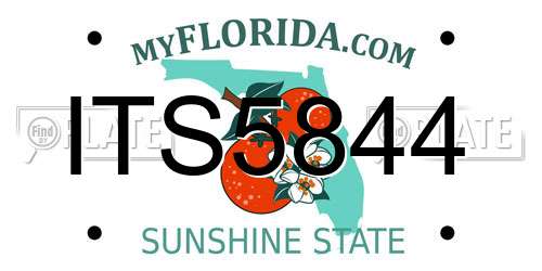 ITS5844 Florida License Plate