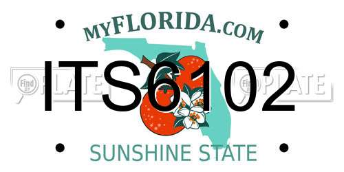 ITS6102 Florida License Plate