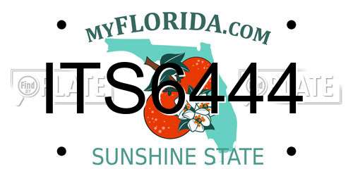 ITS6444 Florida License Plate
