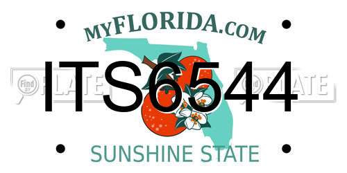 ITS6544 Florida License Plate