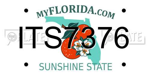 ITS7376 Florida License Plate