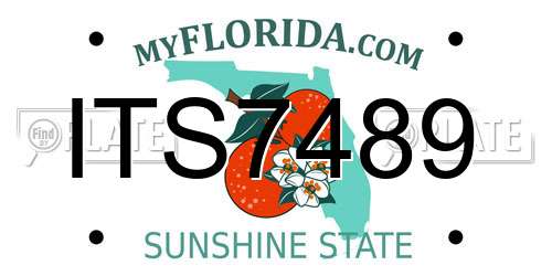 ITS7489 Florida License Plate