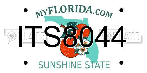 ITS8044 Florida License Plate