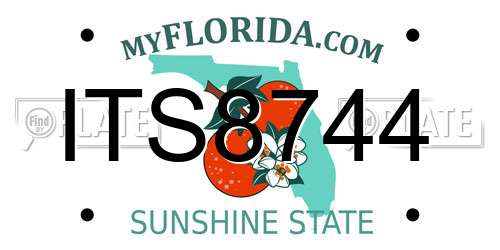 ITS8744 Florida License Plate