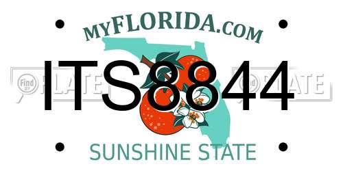 ITS8844 Florida License Plate