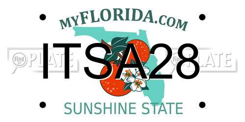 ITSA28 Florida License Plate