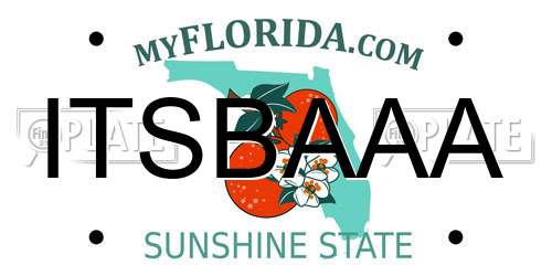 ITSBAAA Florida License Plate