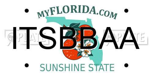 ITSBBAA Florida License Plate