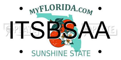 ITSBSAA Florida License Plate