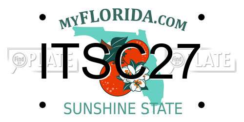 ITSC27 Florida License Plate