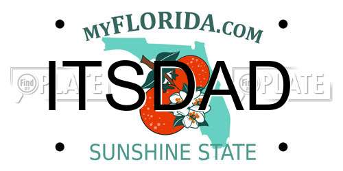 ITSDAD Florida License Plate