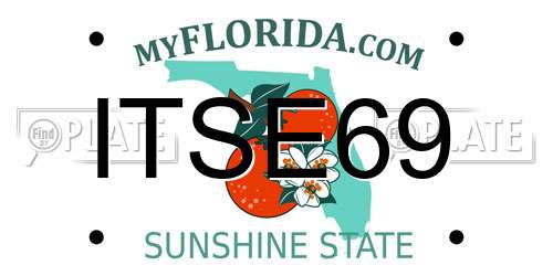 ITSE69 Florida License Plate