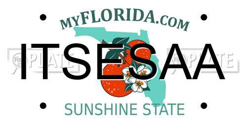 ITSESAA Florida License Plate