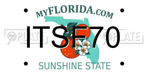 ITSF70 Florida License Plate